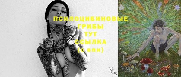ALPHA PVP Белокуриха
