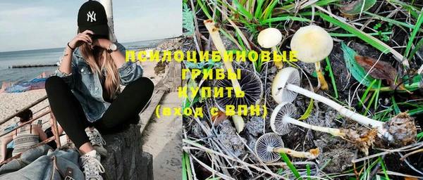 ALPHA PVP Белокуриха