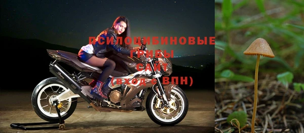 ALPHA PVP Белокуриха
